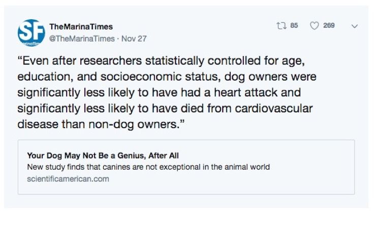 New Study Dog Story