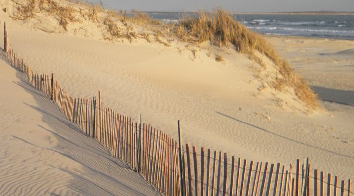 Michelle Carter Story