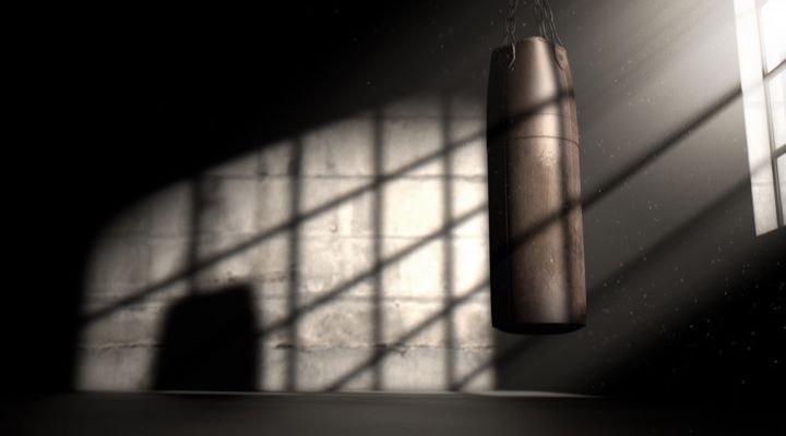 Steve Irwin Grappling Story